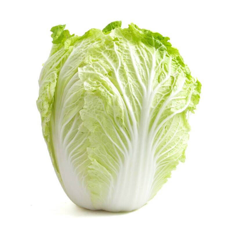Cabbage chinese Chinese cabbage